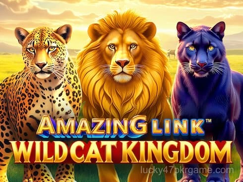 Amazing Link WildCat Kingdom