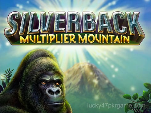 Silverback_ Multiplier Mountain