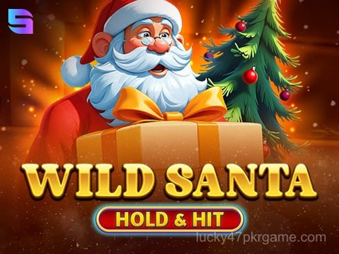 Wild Santa - Hold and Hit